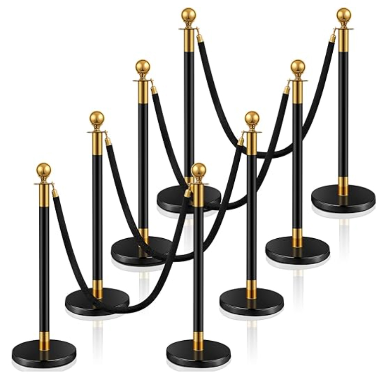Stainless steel stanchions with velvet ropes